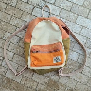 BDG colorblock Backpack